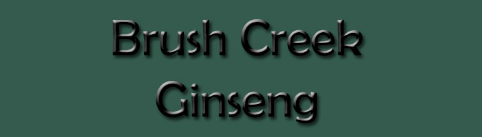 Brush Creek Ginseng